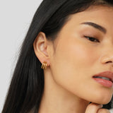Anaya Triple Gold Hoop Ohrringe